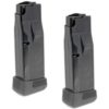 Buy Ruger LCP MAX 380acp 12 Round Magazine 2 Pack